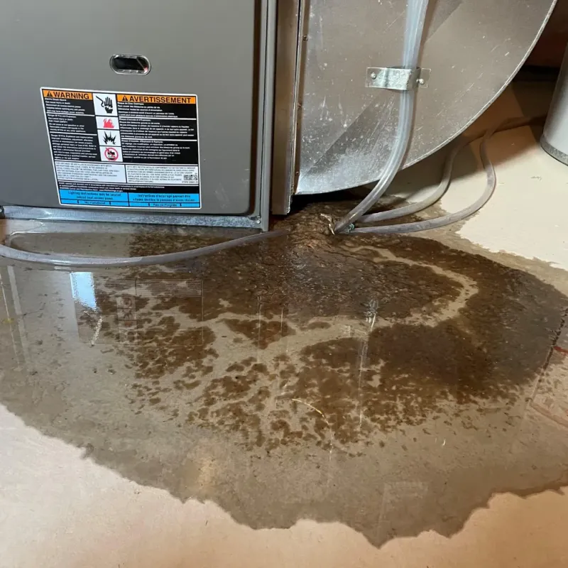 Appliance Leak Cleanup in Wilder, VT